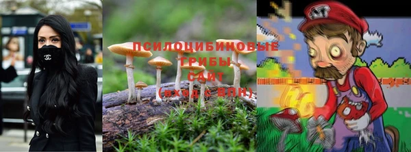 наркотики Богородицк